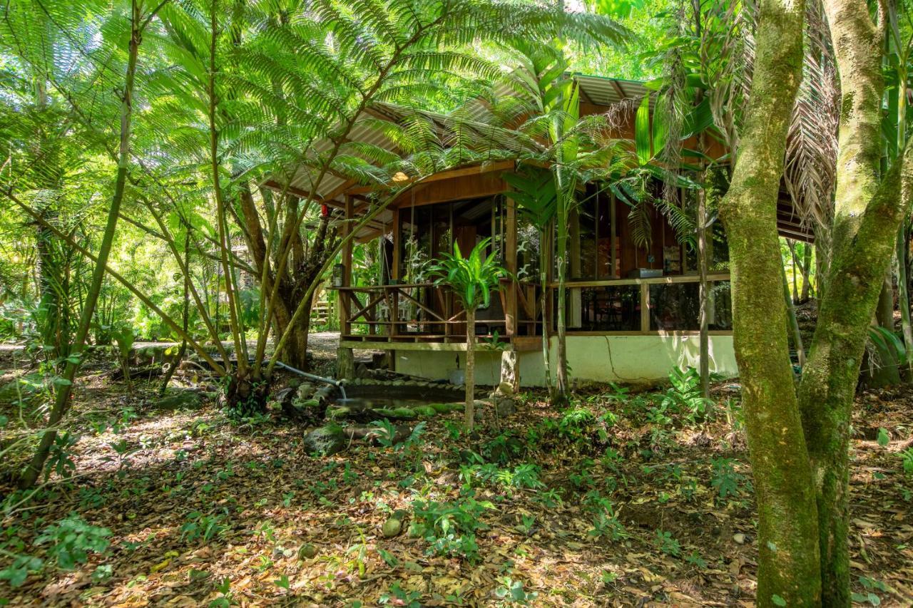 Cabanas Del Lago La Fortuna Екстериор снимка