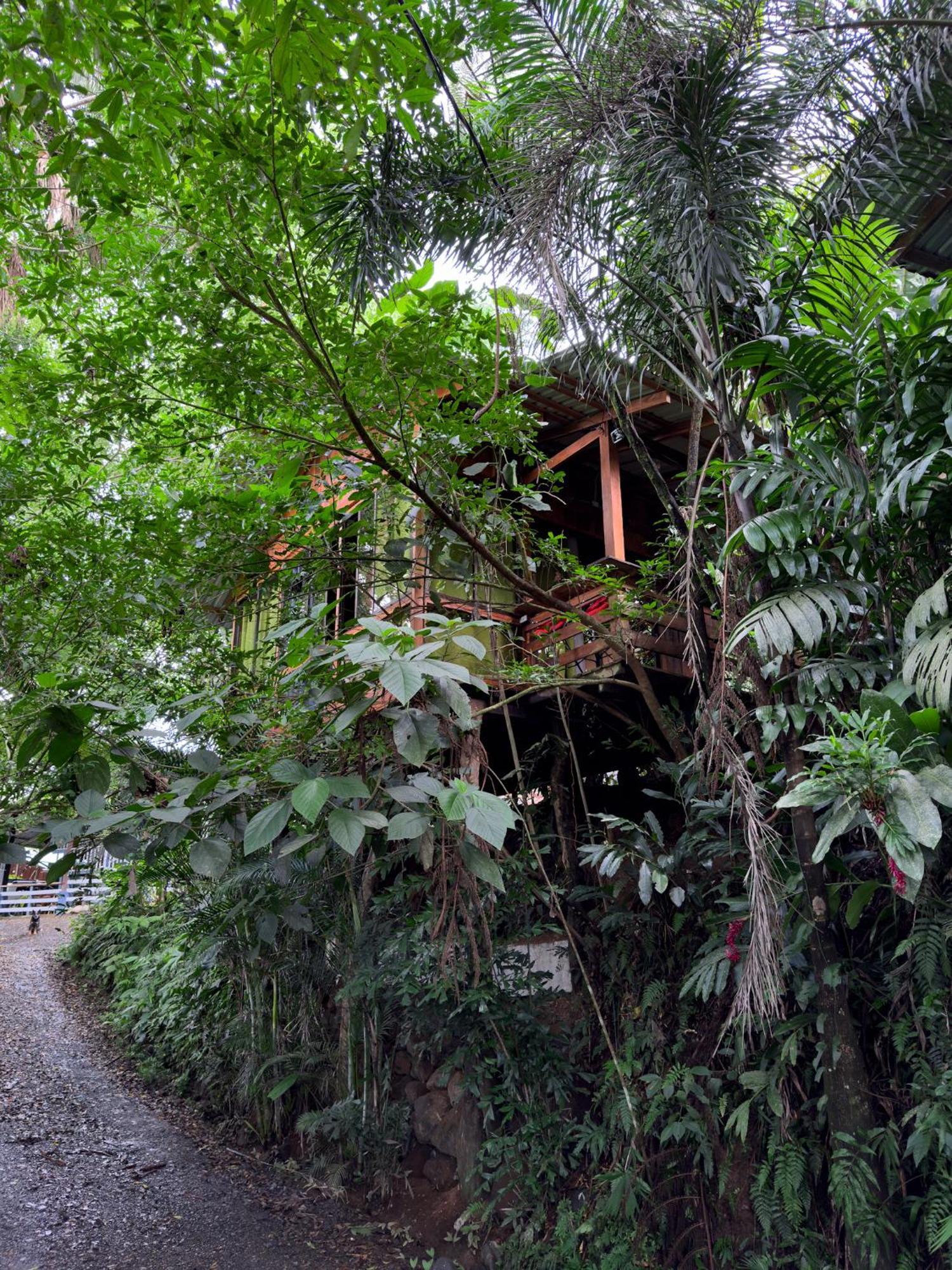 Cabanas Del Lago La Fortuna Екстериор снимка
