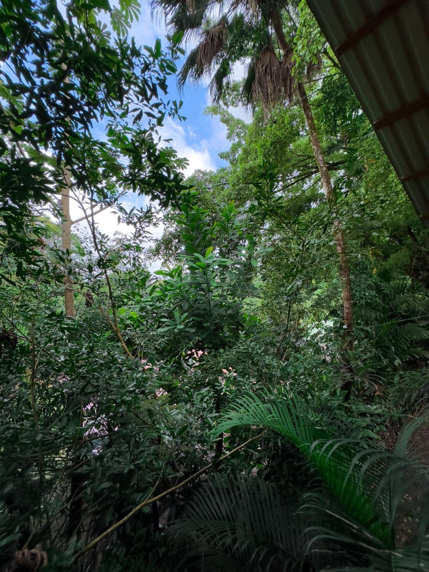 Cabanas Del Lago La Fortuna Екстериор снимка