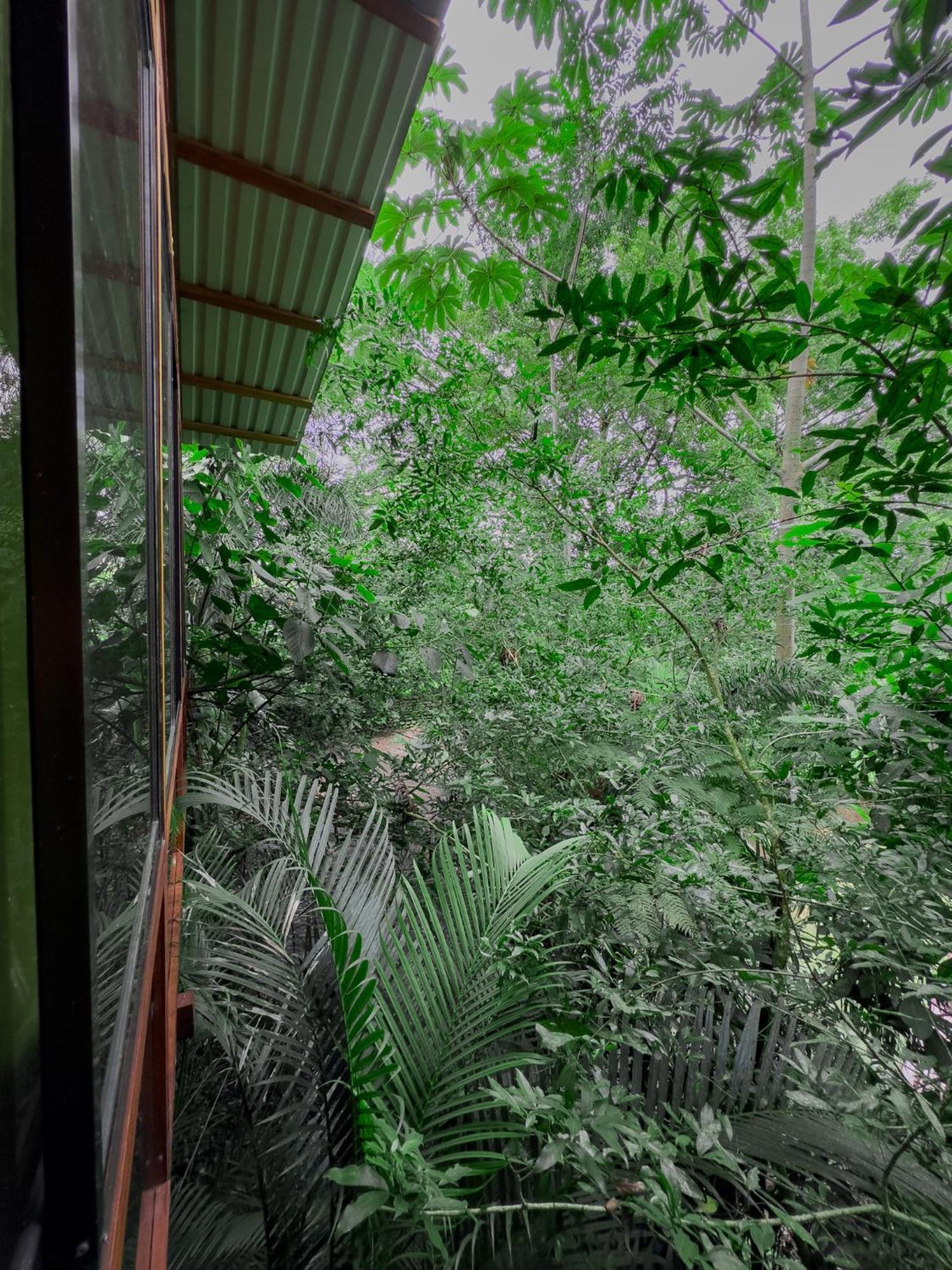 Cabanas Del Lago La Fortuna Екстериор снимка